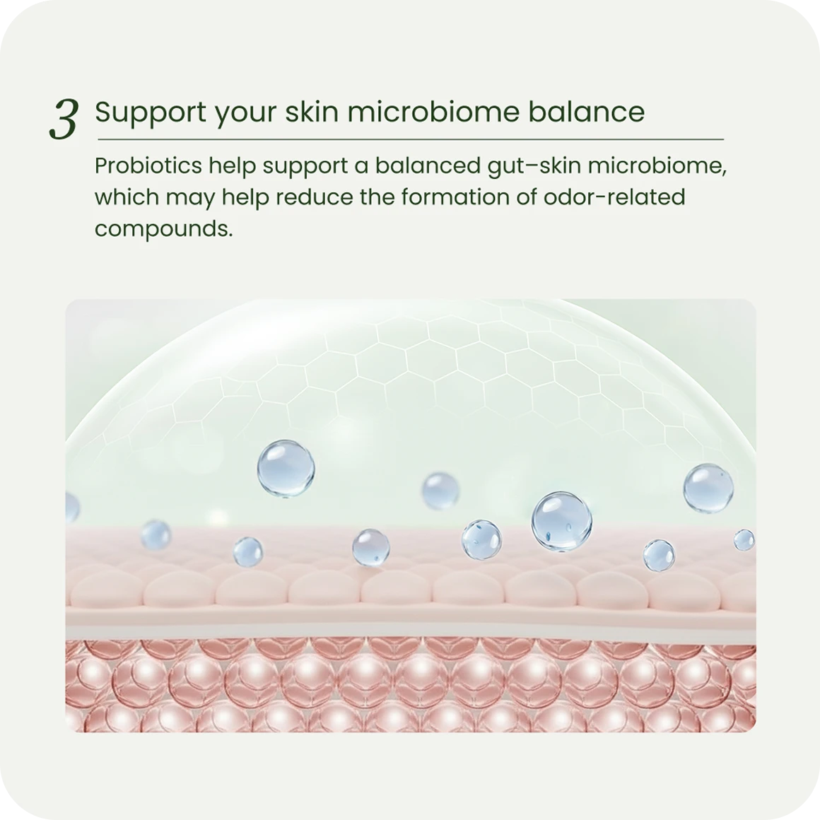 U+MILDITOX クレンズ＆デブロート 60 ビーガンカプセル