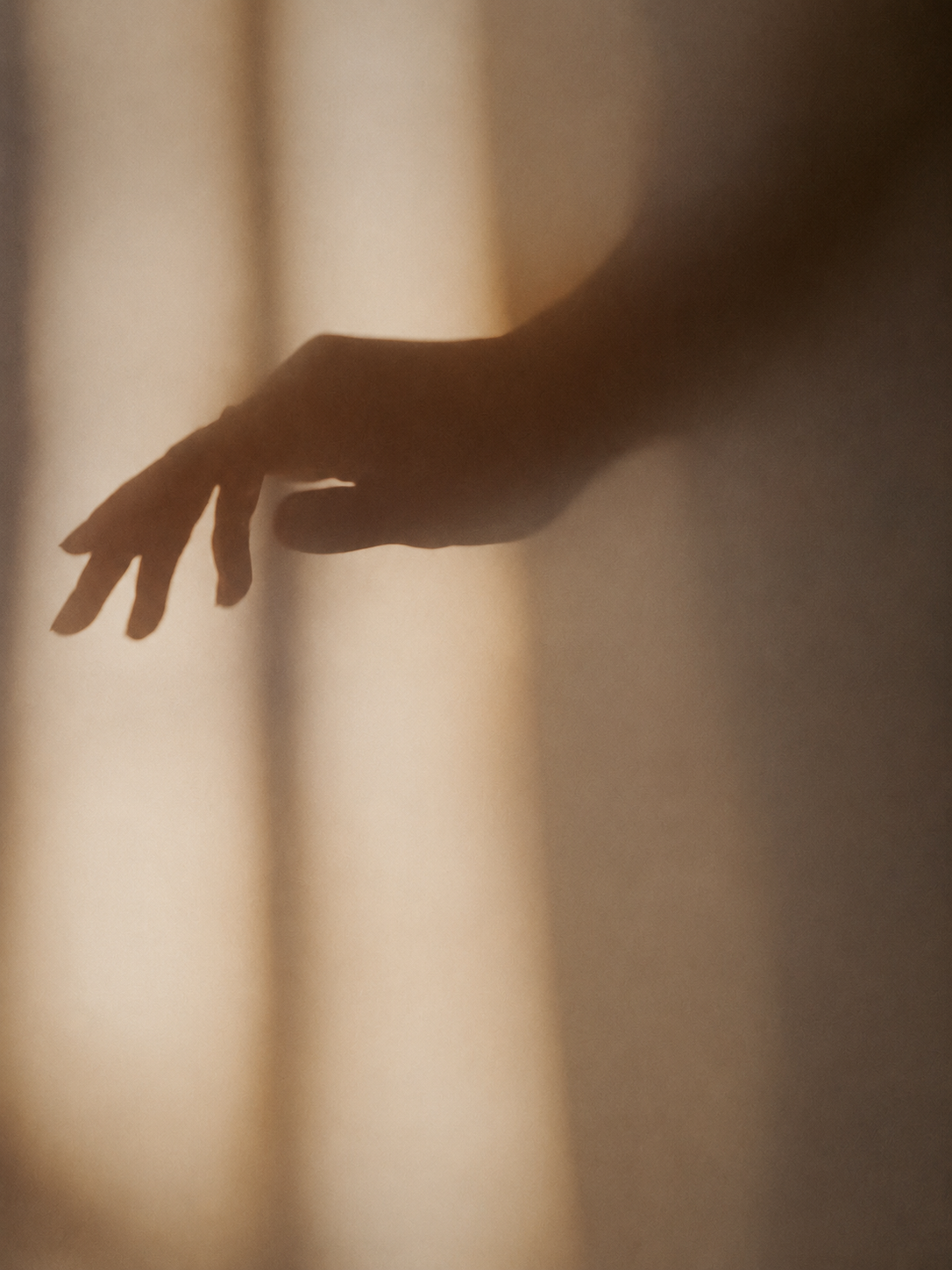 A hand reaching into warm morning light