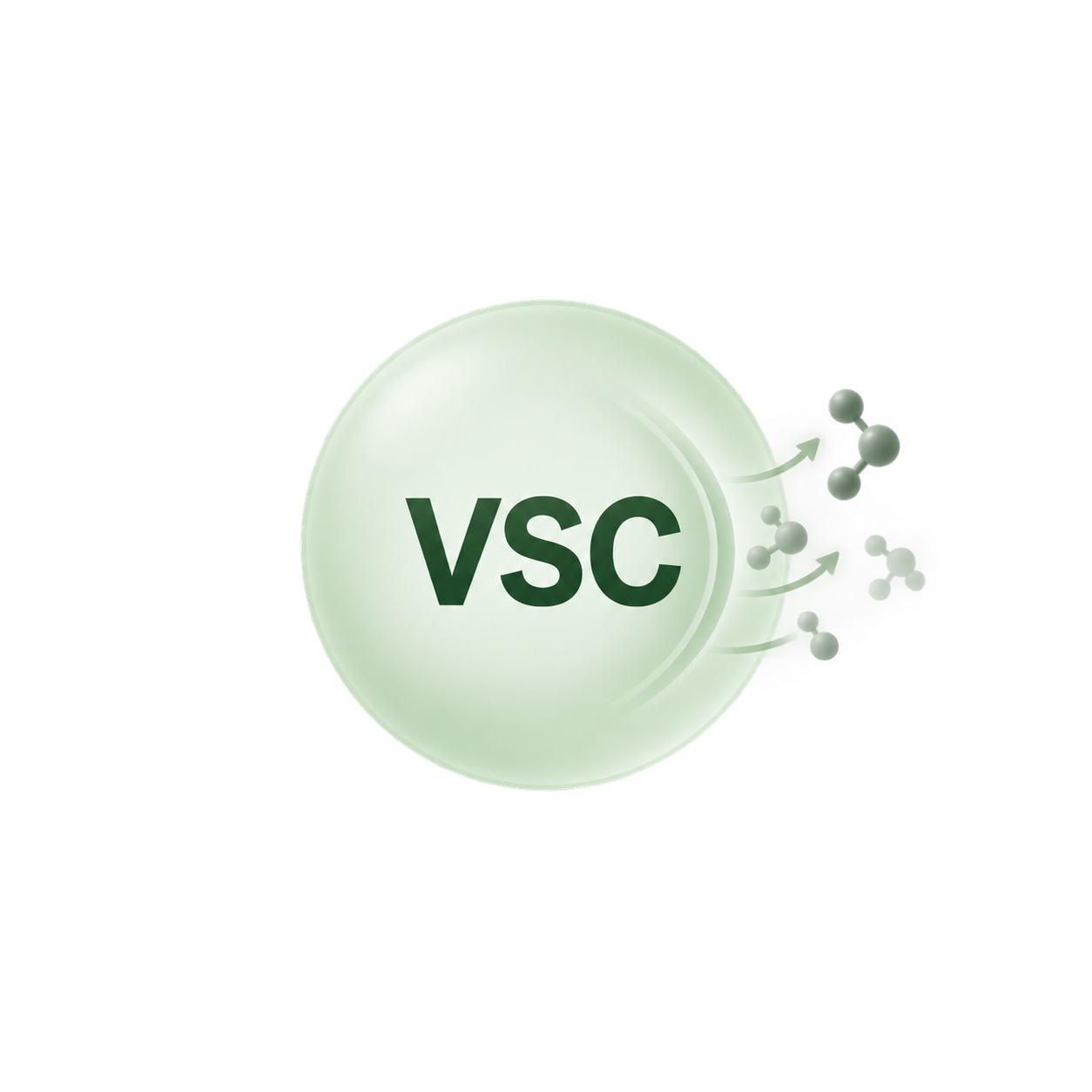 Volatile sulfur compound suppression mechanism